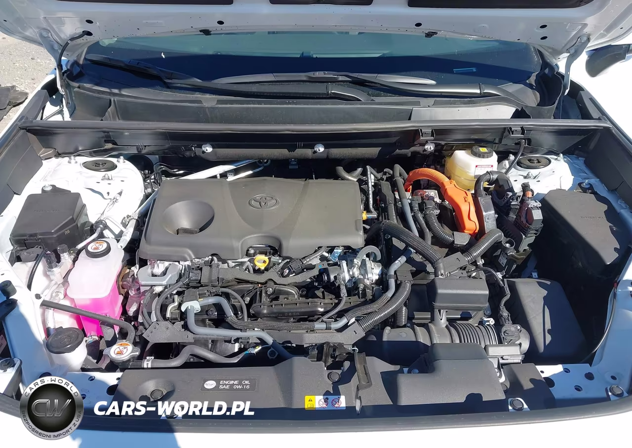 2025 Toyota Rav4 Hybrid Xle VIN:4T3RWRFVXSU190014 - 10