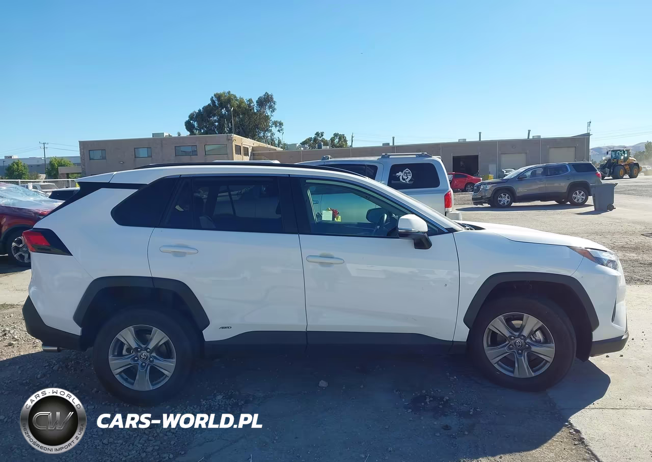 2025 Toyota Rav4 Hybrid Xle VIN:4T3RWRFVXSU190014 - 13