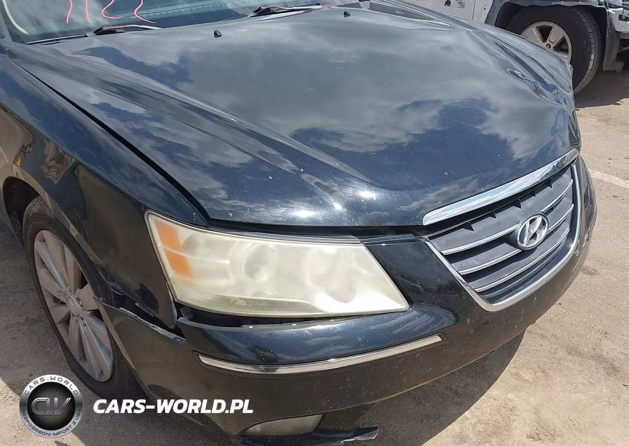 2010 Hyundai Sonata Limited V6 VIN:5NPEU4AF6AH602216 - 18
