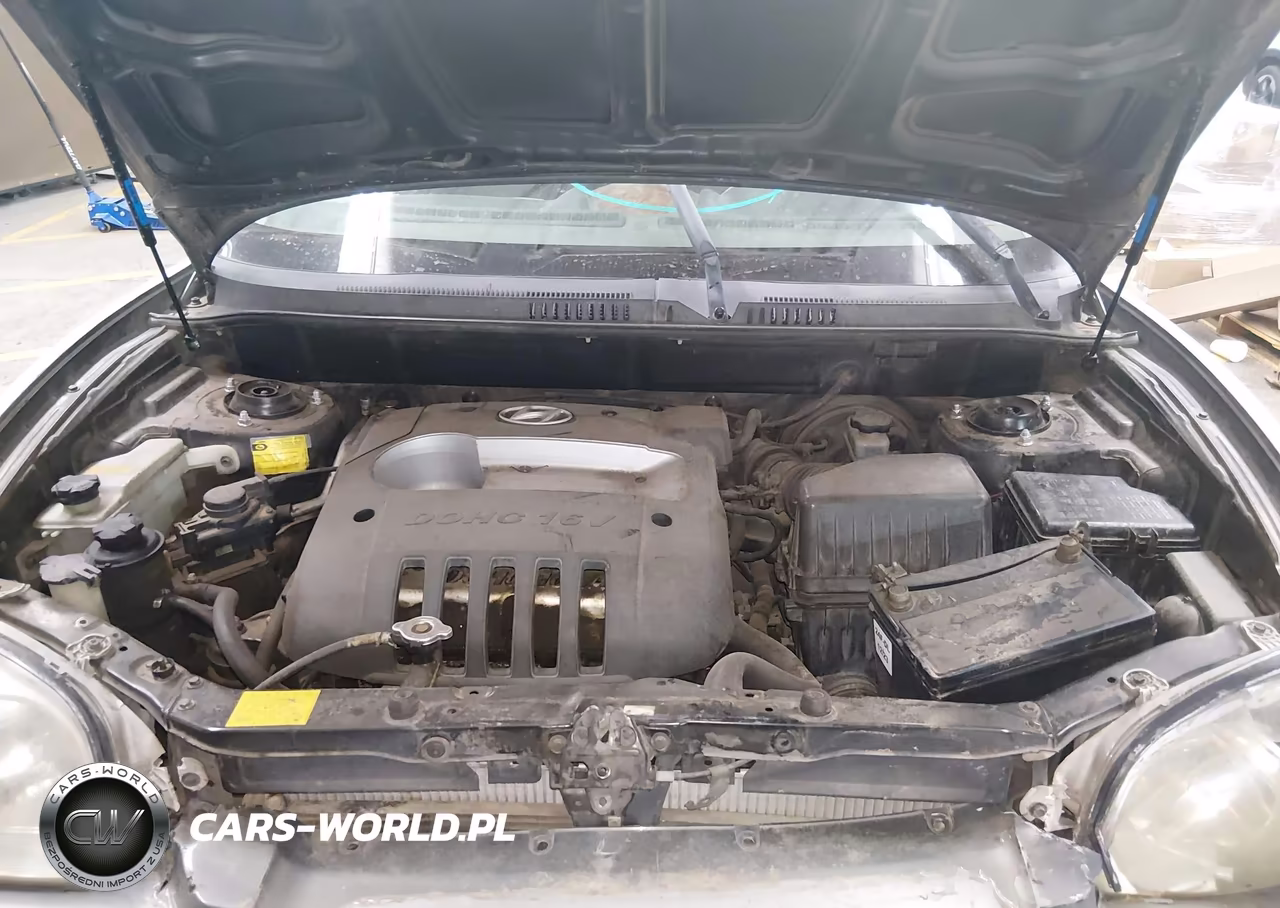 2002 Hyundai Santa Fe VIN:KM8SB12B32U281385 - 10
