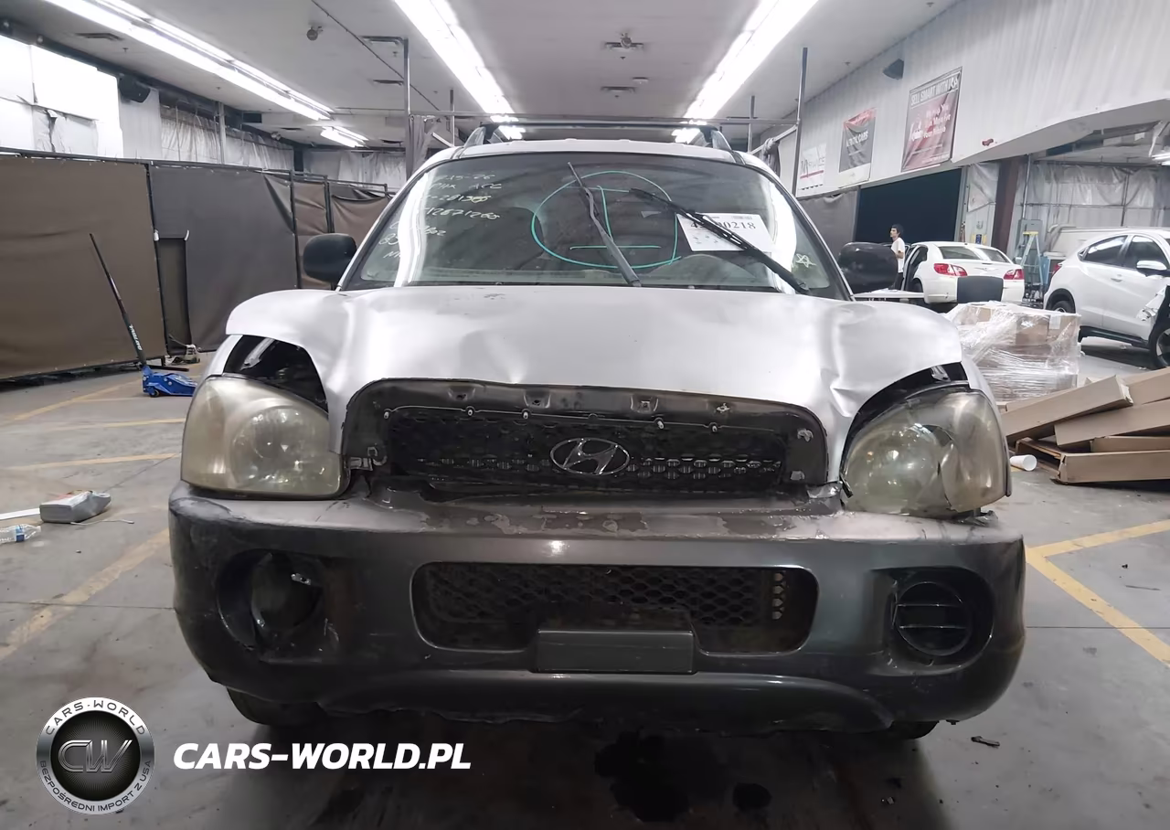 2002 Hyundai Santa Fe VIN:KM8SB12B32U281385 - 6