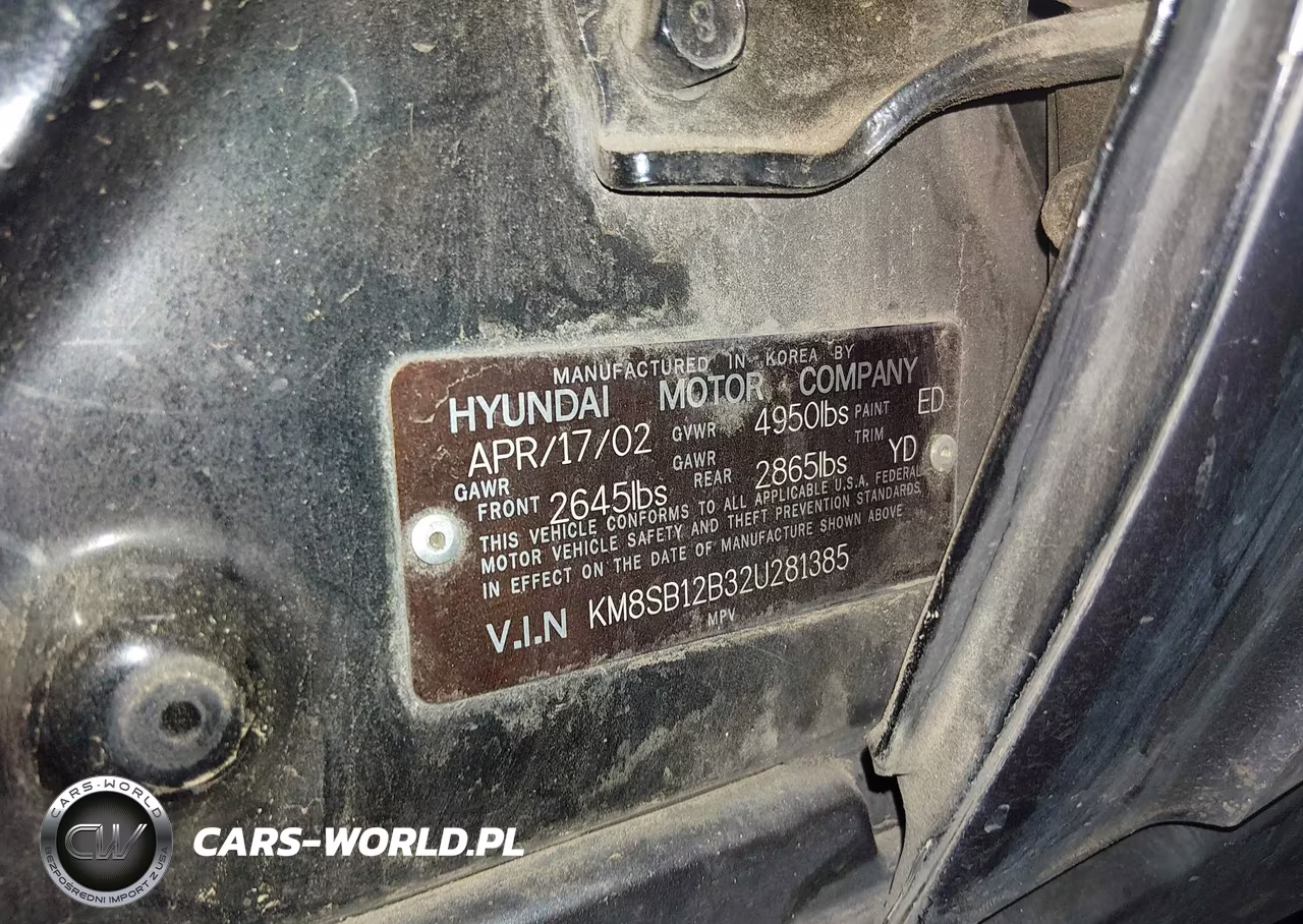 2002 Hyundai Santa Fe VIN:KM8SB12B32U281385 - 9