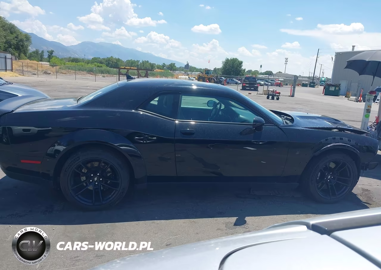 2020 Dodge Challenger R-T Scat Pack Widebody VIN:2C3CDZFJ0LH117359 - 14
