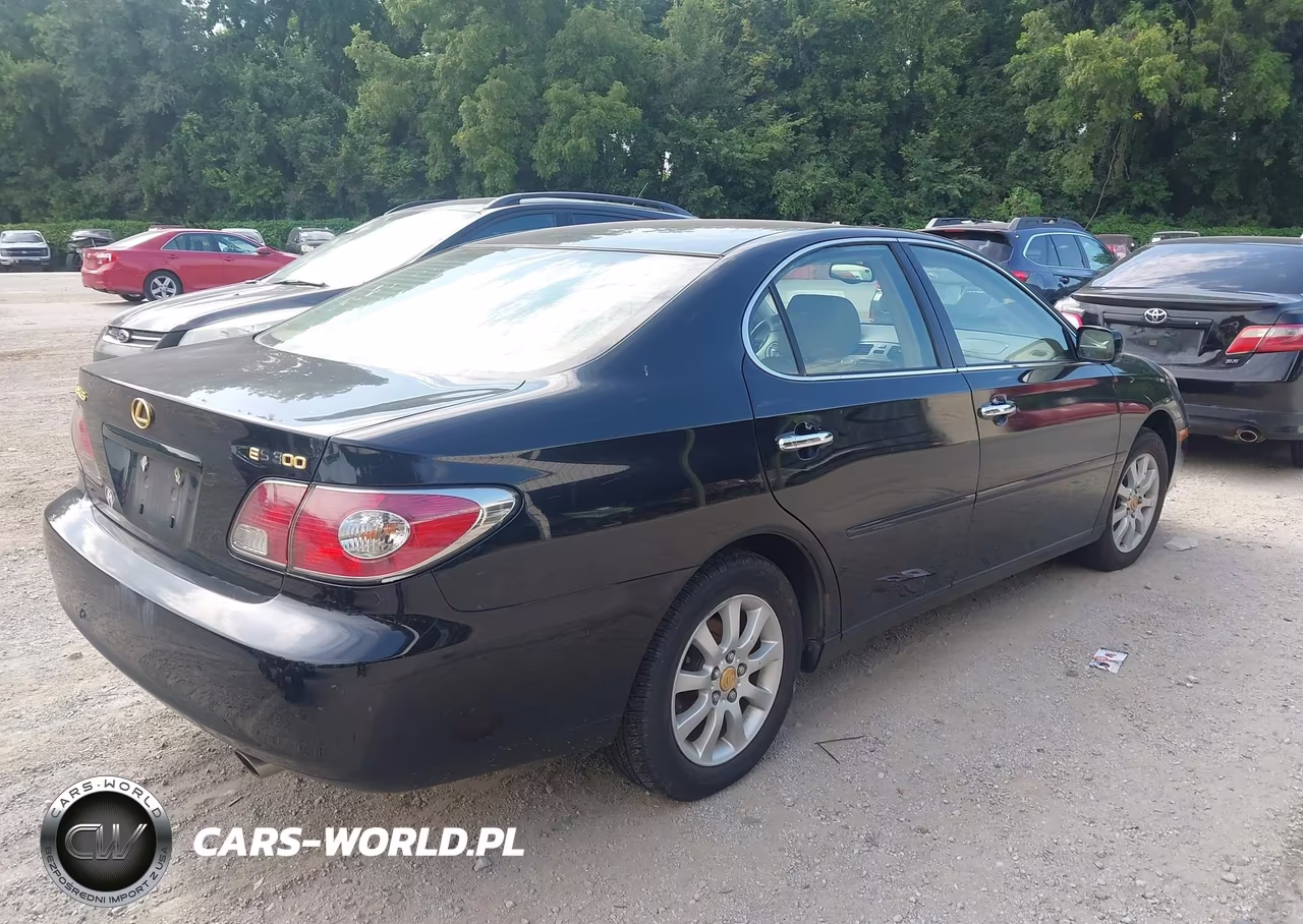 2003 Lexus Es 300 VIN:JTHBF30G136015564 - 4