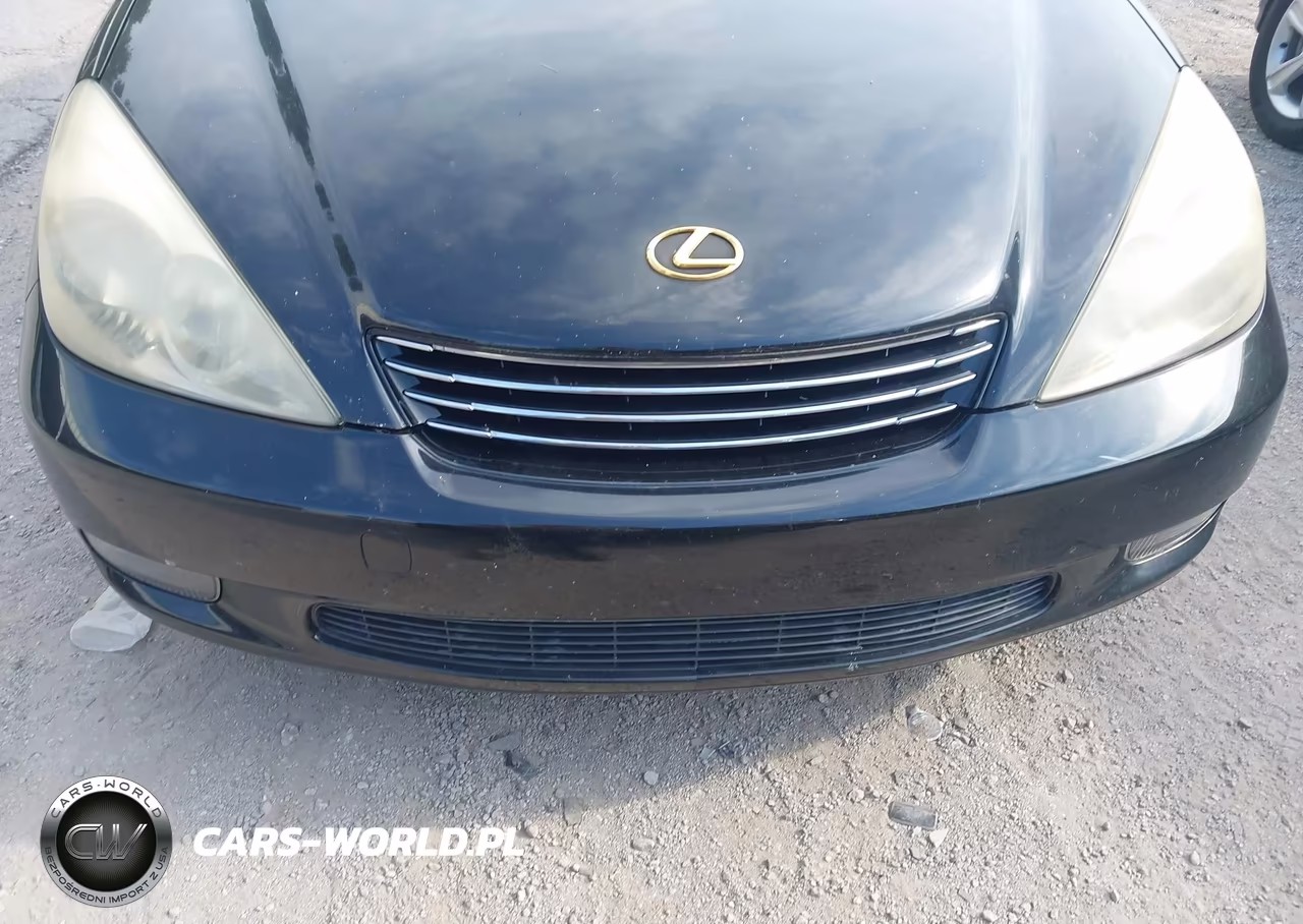 2003 Lexus Es 300 VIN:JTHBF30G136015564 - 6