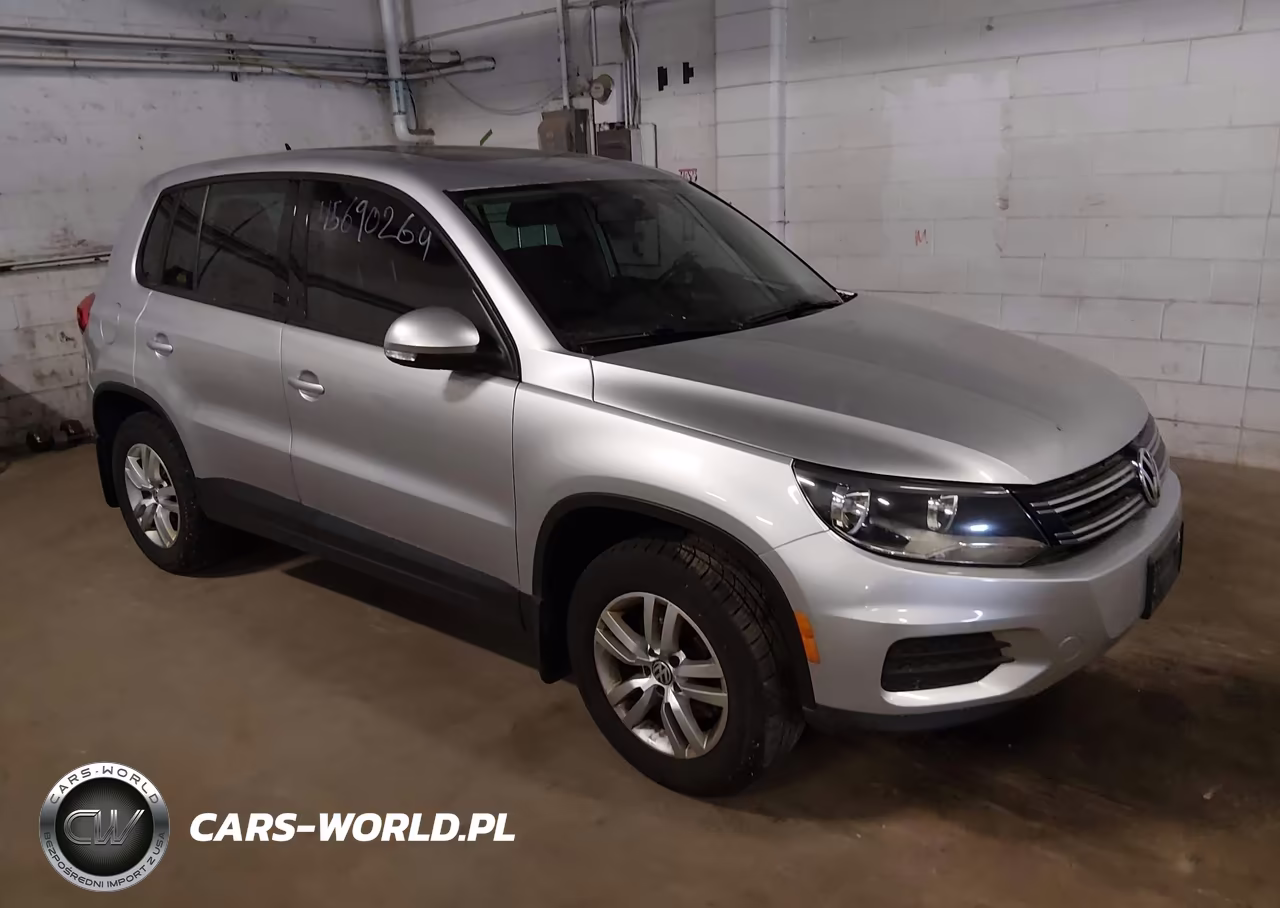 2013 Volkswagen Tiguan S VIN:WVGBV3AX9DW621842 - 1