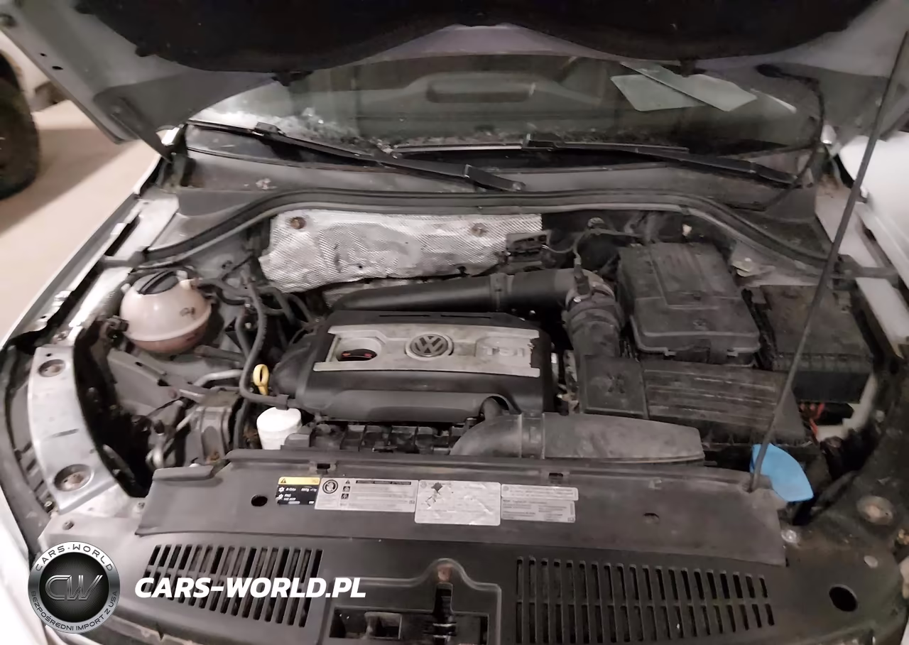2013 Volkswagen Tiguan S VIN:WVGBV3AX9DW621842 - 10