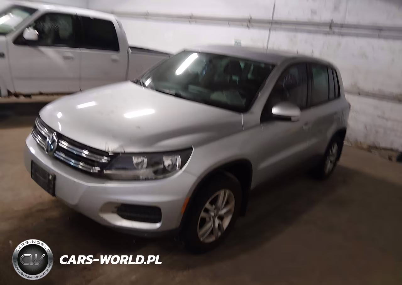 2013 Volkswagen Tiguan S VIN:WVGBV3AX9DW621842 - 2
