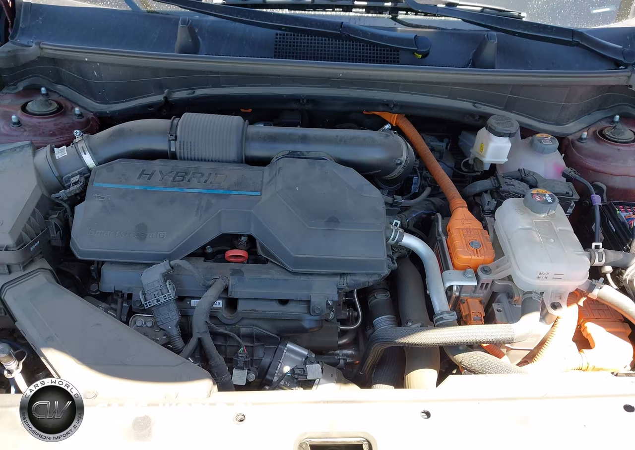 2024 Kia Sportage Plug-In Hybrid X-Line VIN:KNDPYDDH1R7163792 - 10