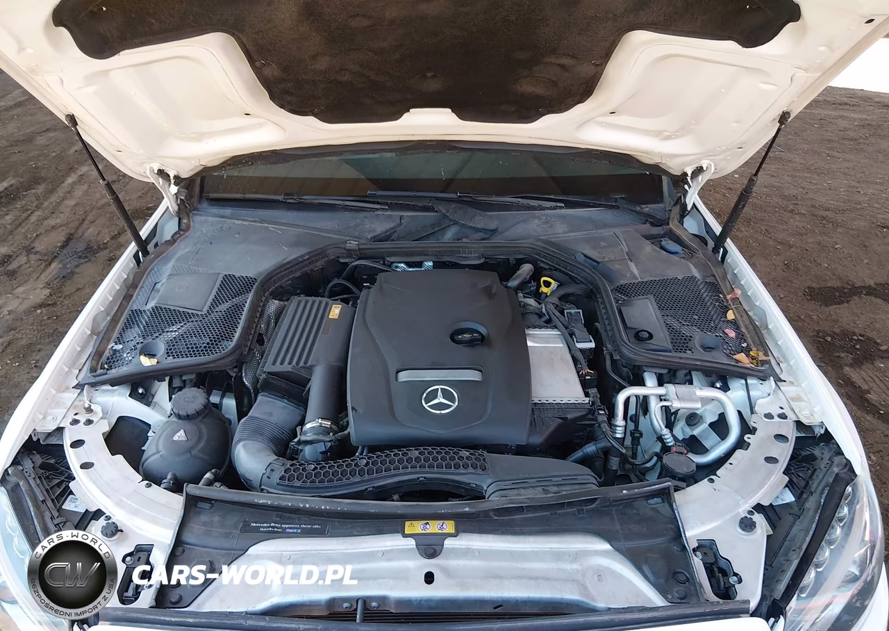 2017 Mercedes-Benz C 300 VIN:55SWF4JB3HU211608 - 10
