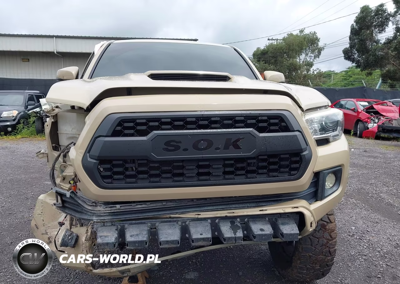2017 Toyota Tacoma Trd Sport VIN:5TFCZ5AN1HX110147 - 12