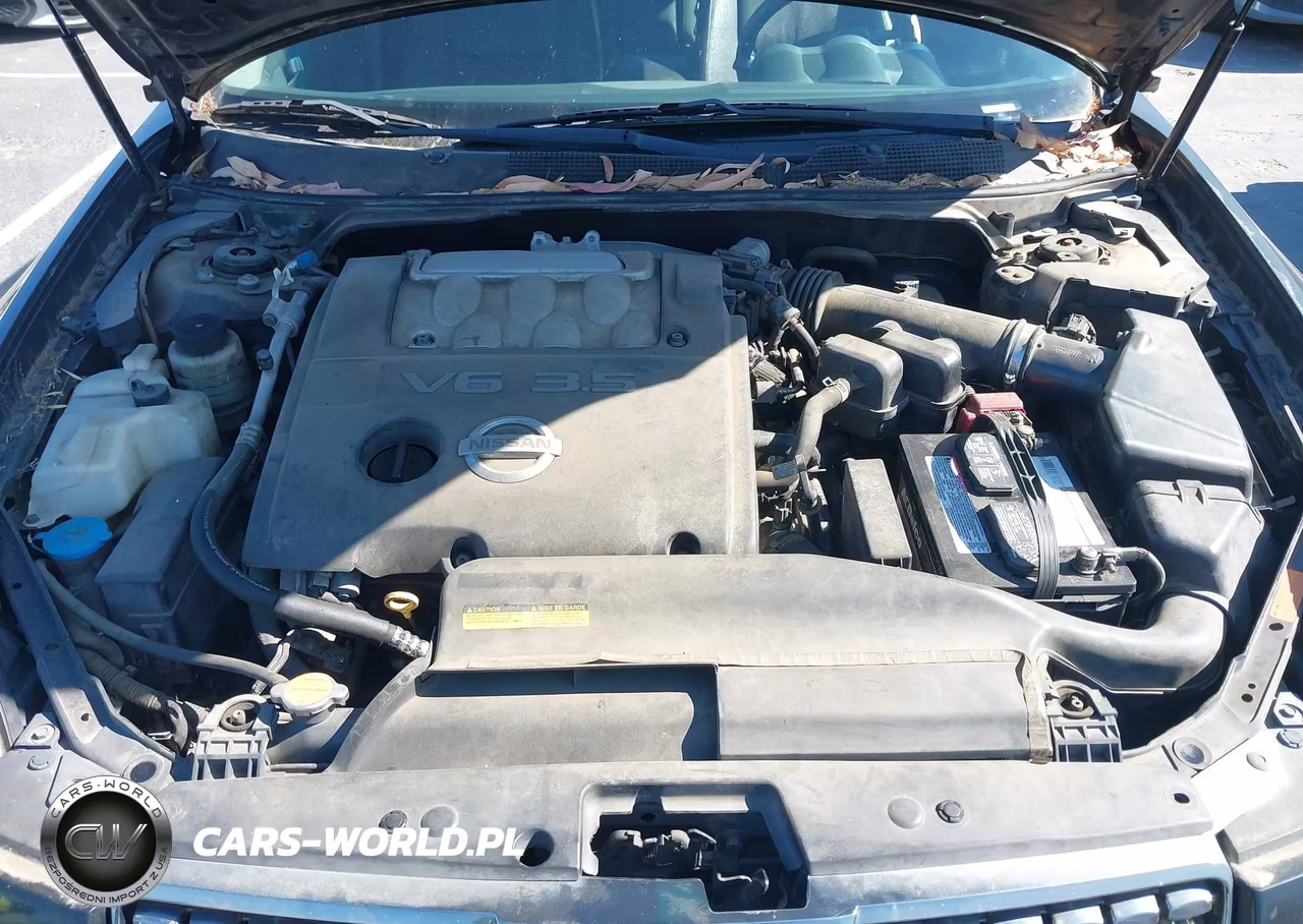 2004 Nissan Maxima 3.5 Sl VIN:1N4BA41EX4C835962 - 10