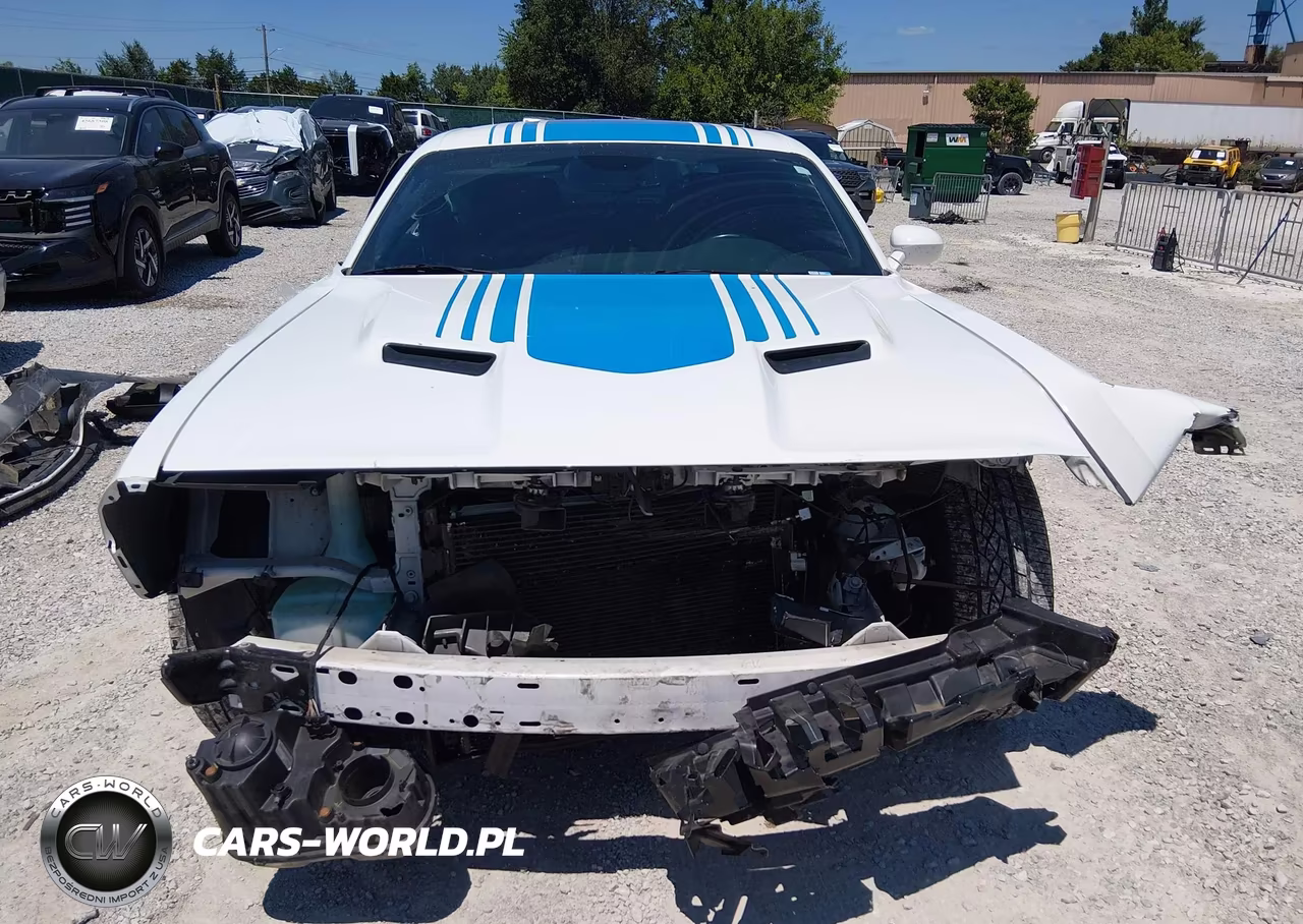 2020 Dodge Challenger Sxt VIN:2C3CDZAG6LH196841 - 13