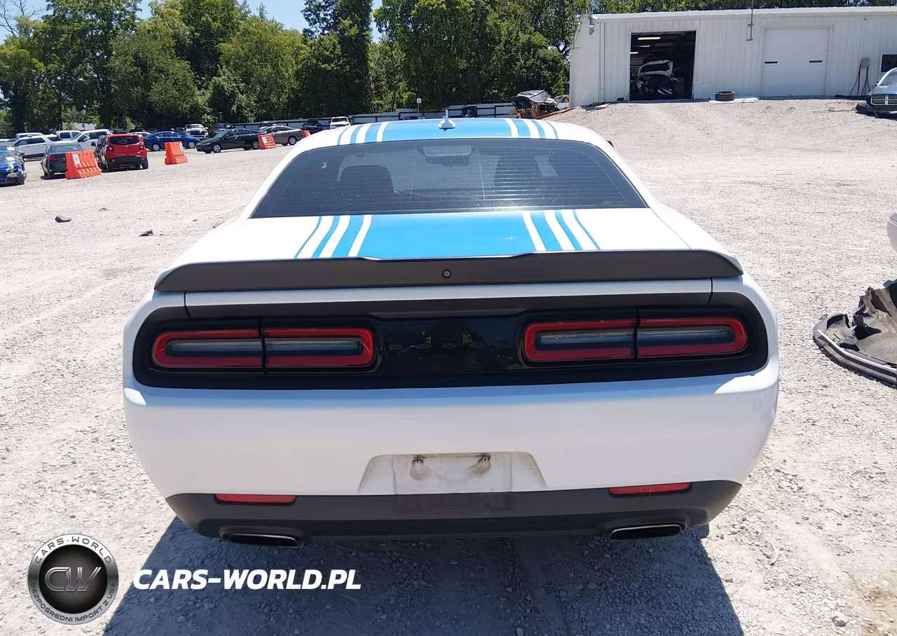 2020 Dodge Challenger Sxt VIN:2C3CDZAG6LH196841 - 17
