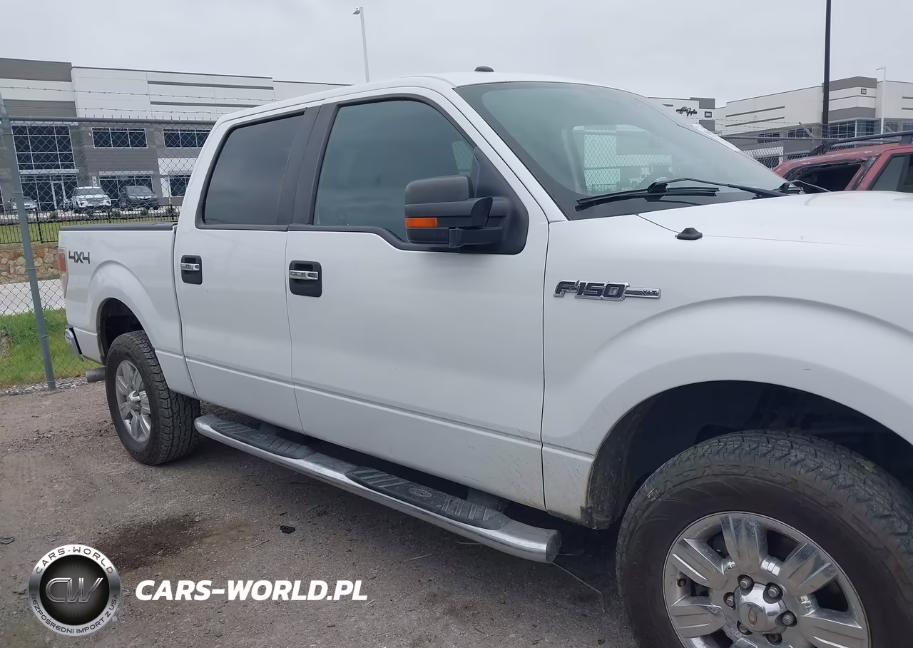 2013 Ford F-150 Xlt VIN:1FTFW1EF4DFB09379 - 13