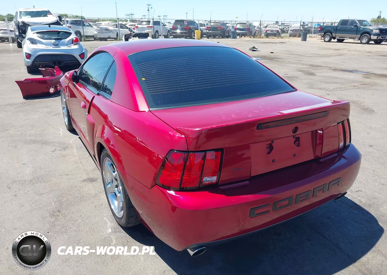 2004 Ford Mustang Cobra VIN:1FAFP48Y84F209003 - 3