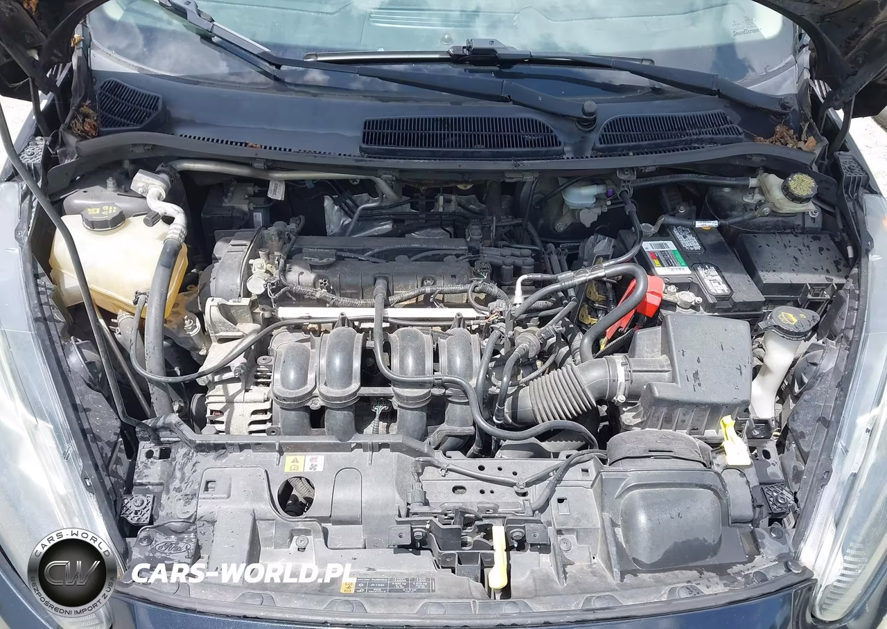 2014 Ford Fiesta Se VIN:3FADP4BJ5EM179446 - 10