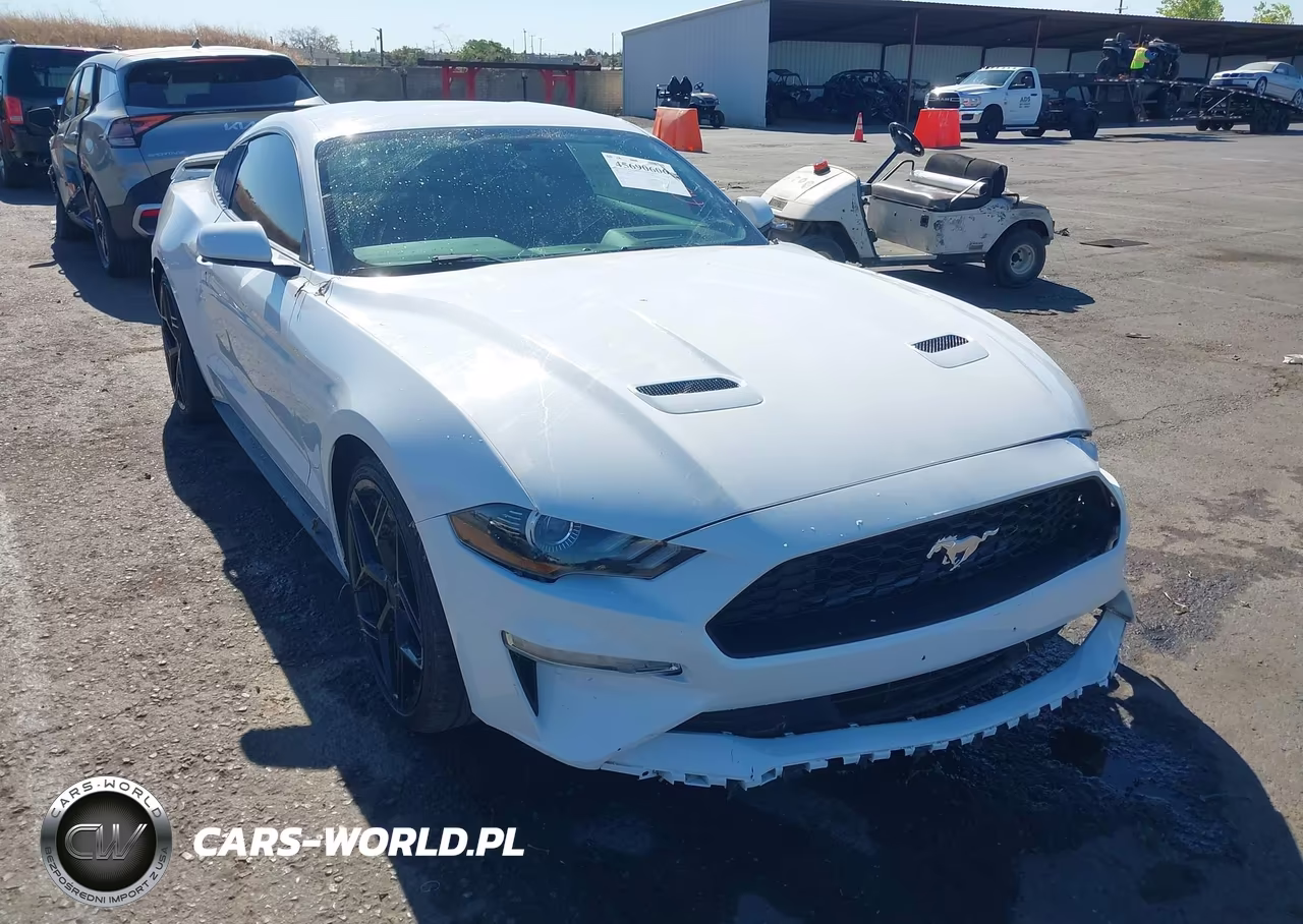 2019 Ford Mustang Ecoboost