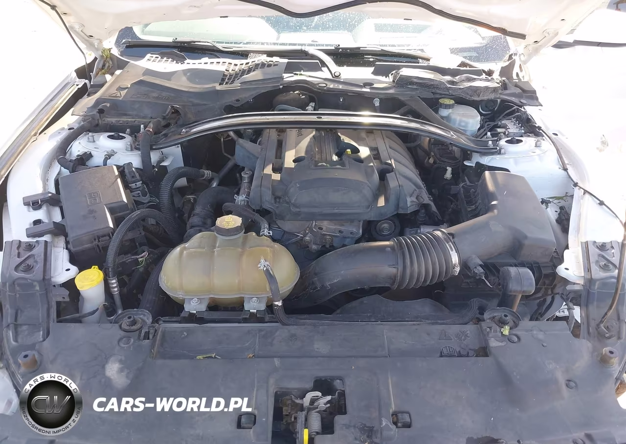 2019 Ford Mustang Ecoboost VIN:1FA6P8TH8K5169295 - 10