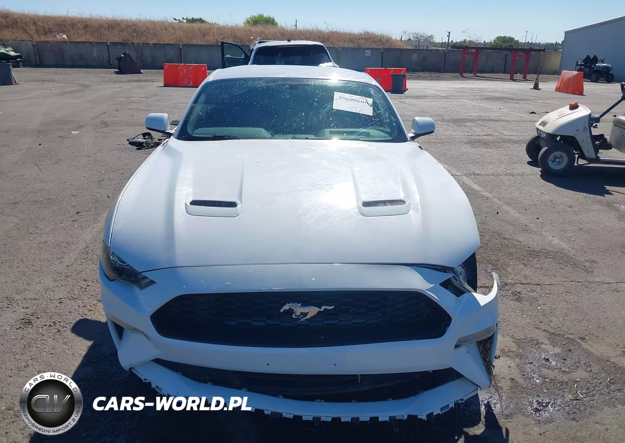 2019 Ford Mustang Ecoboost VIN:1FA6P8TH8K5169295 - 12