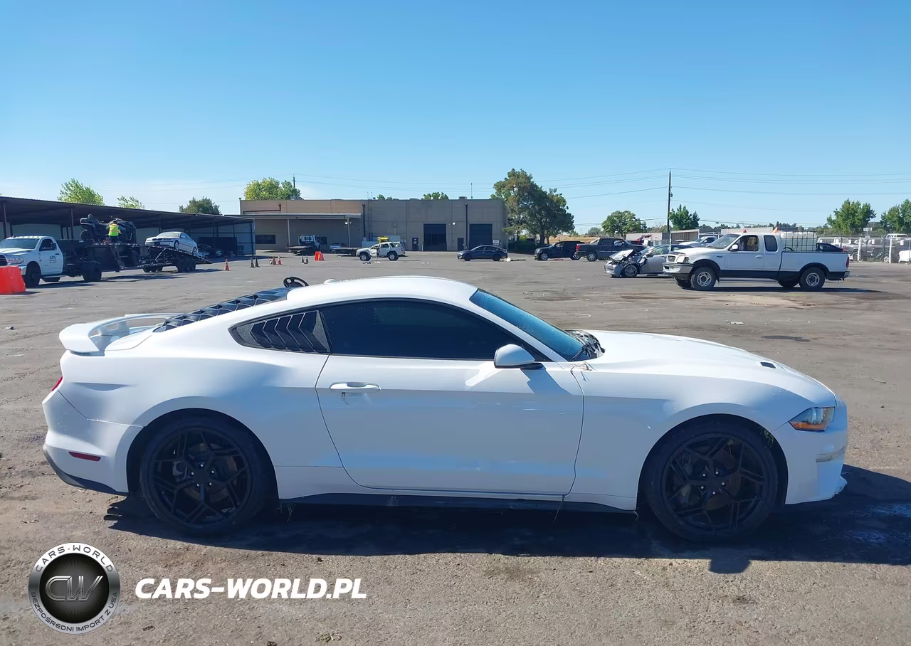 2019 Ford Mustang Ecoboost VIN:1FA6P8TH8K5169295 - 13