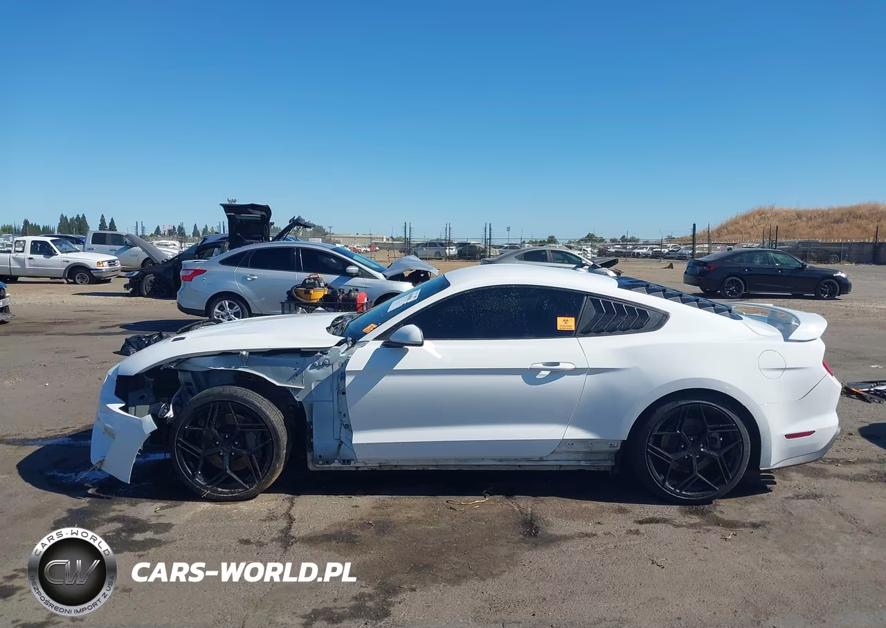 2019 Ford Mustang Ecoboost VIN:1FA6P8TH8K5169295 - 14