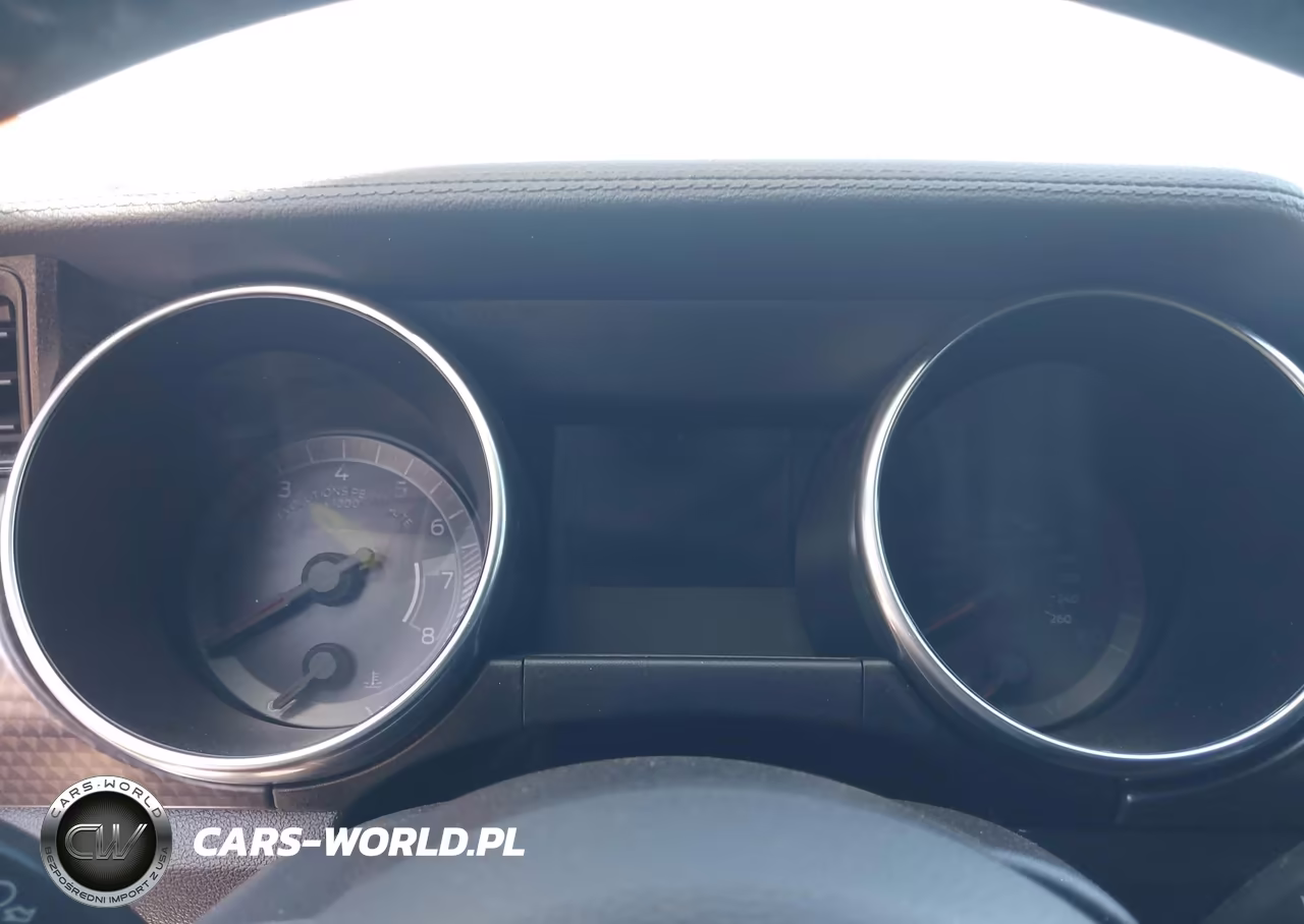2019 Ford Mustang Ecoboost VIN:1FA6P8TH8K5169295 - 15