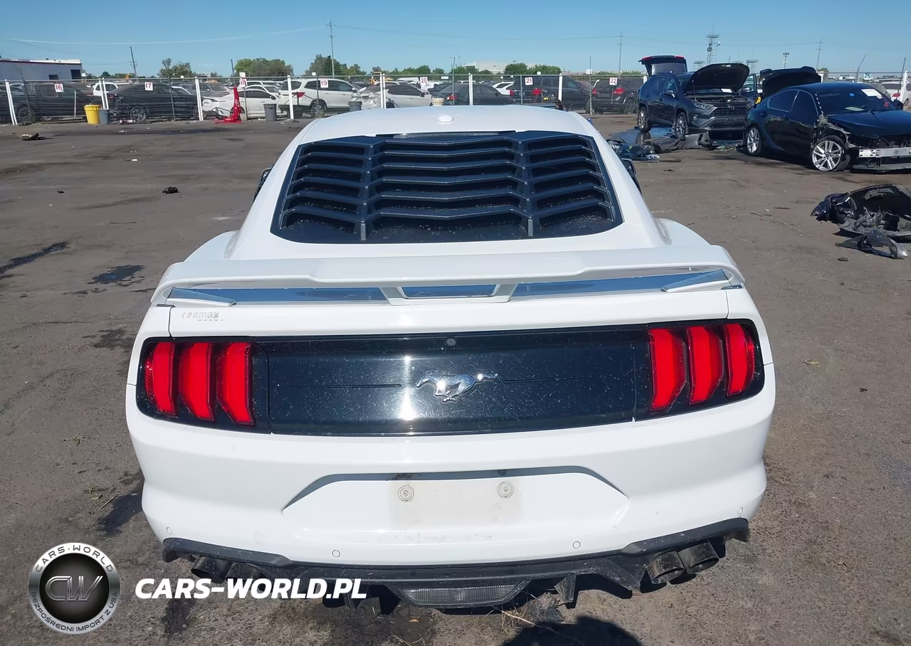 2019 Ford Mustang Ecoboost VIN:1FA6P8TH8K5169295 - 16