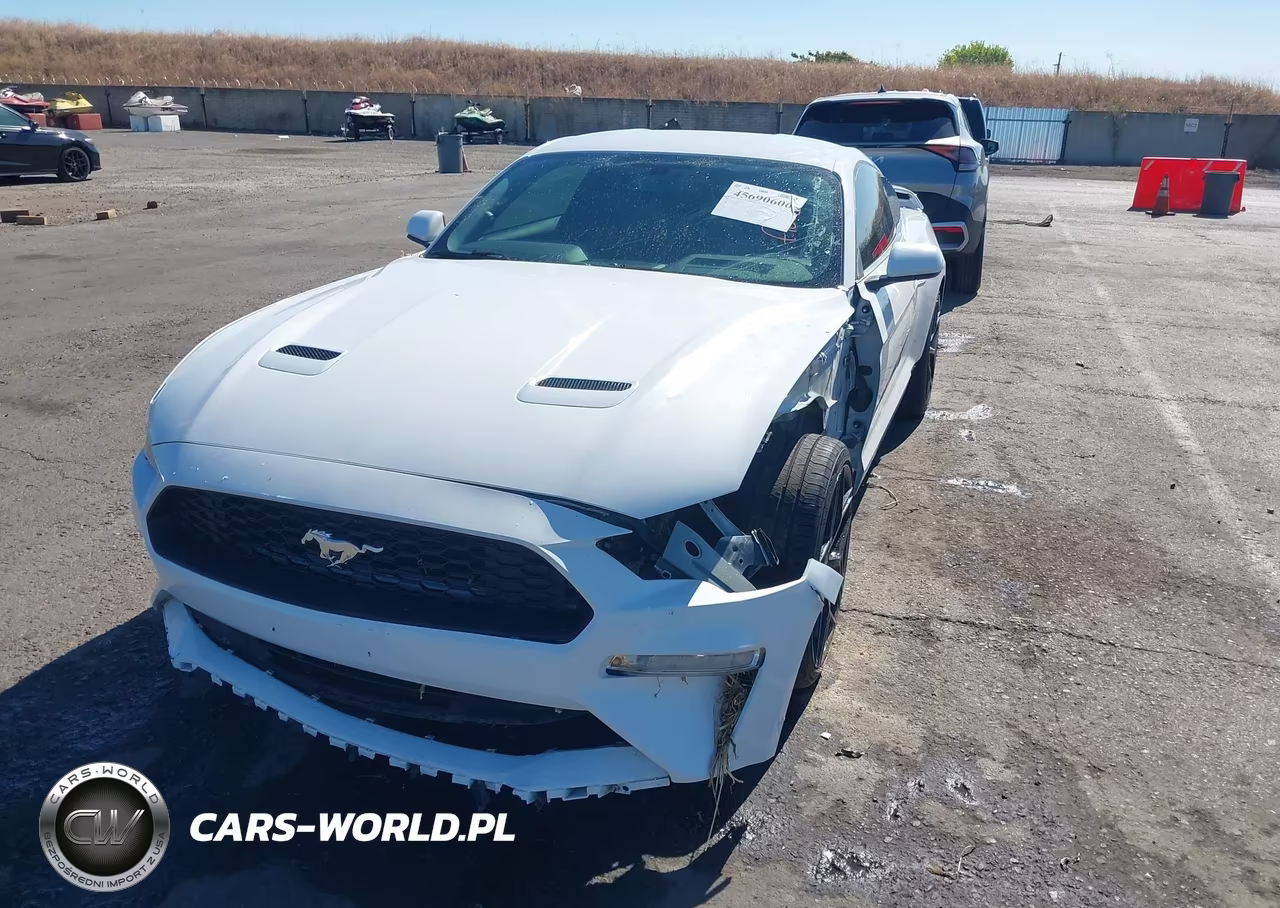 2019 Ford Mustang Ecoboost VIN:1FA6P8TH8K5169295 - 2