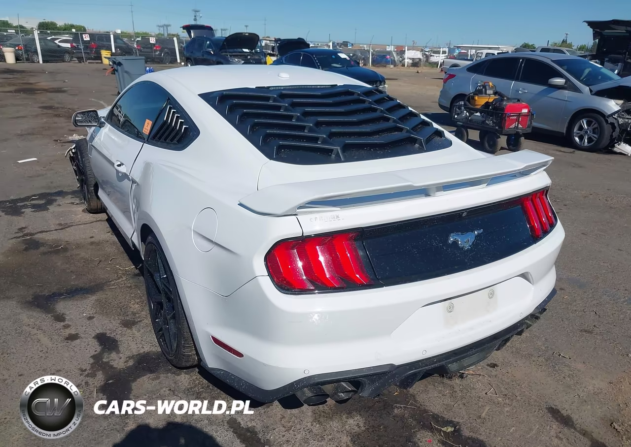 2019 Ford Mustang Ecoboost VIN:1FA6P8TH8K5169295 - 3