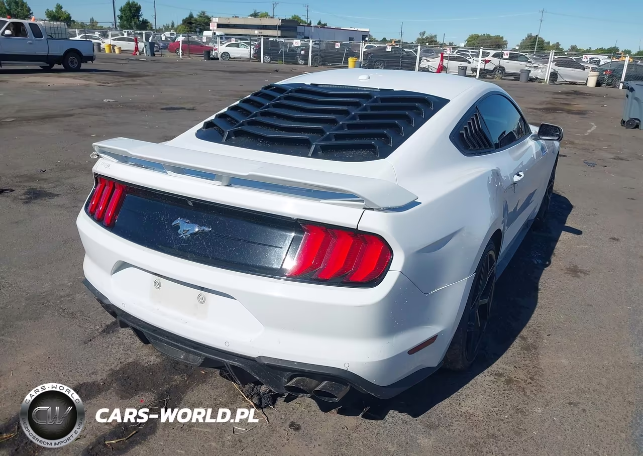 2019 Ford Mustang Ecoboost VIN:1FA6P8TH8K5169295 - 4