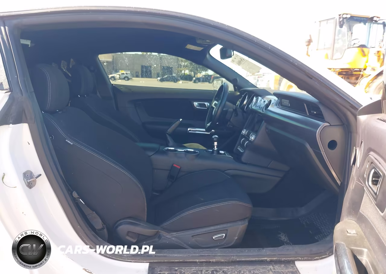 2019 Ford Mustang Ecoboost VIN:1FA6P8TH8K5169295 - 5