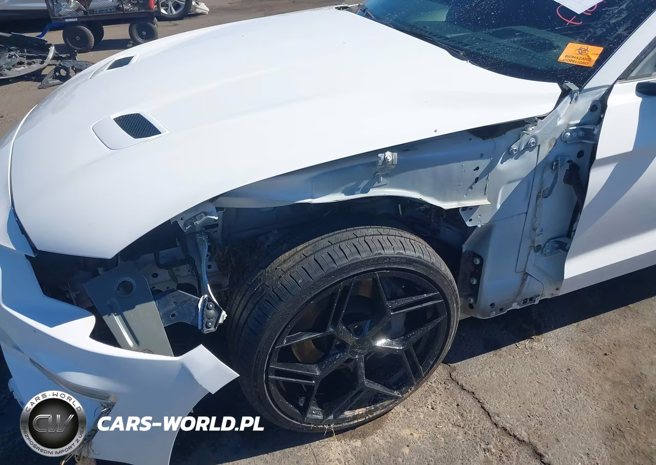 2019 Ford Mustang Ecoboost VIN:1FA6P8TH8K5169295 - 6