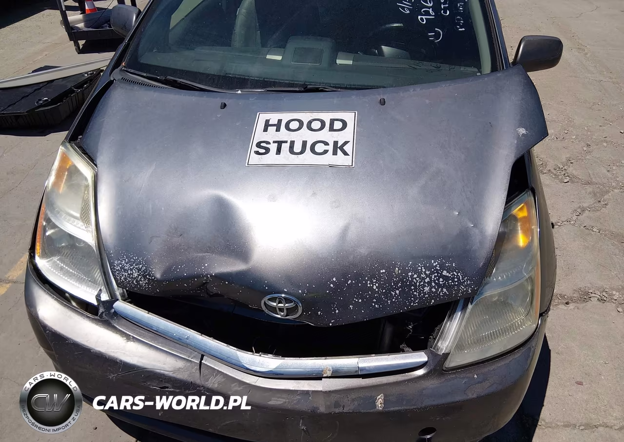 2008 Toyota Prius VIN:JTDKB20U783405767 - 10