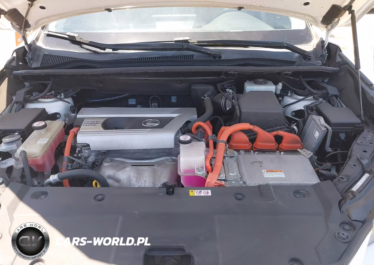 2019 Lexus Nx 300H VIN:JTJBJRBZ6K2116457 - 10