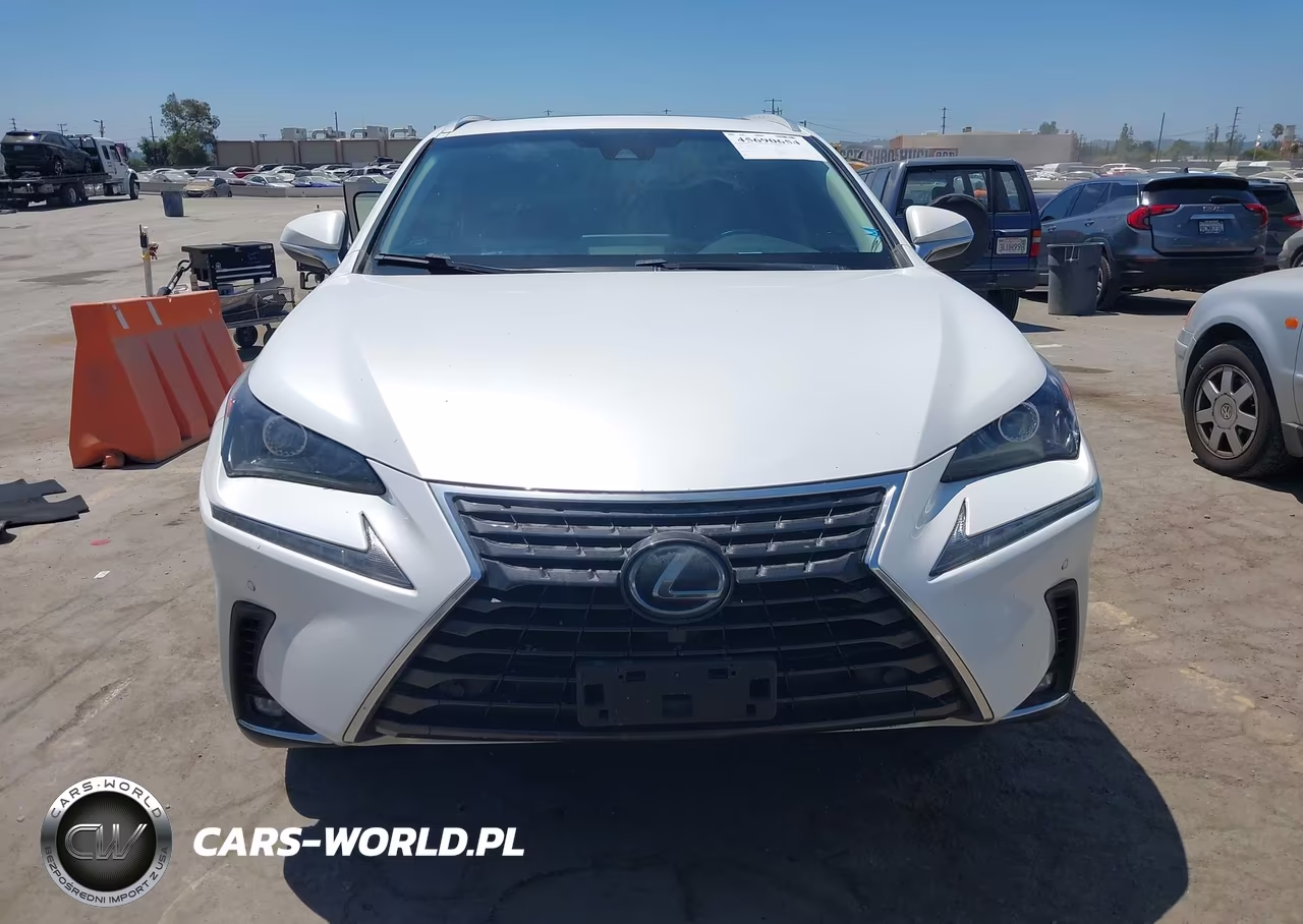 2019 Lexus Nx 300H VIN:JTJBJRBZ6K2116457 - 12
