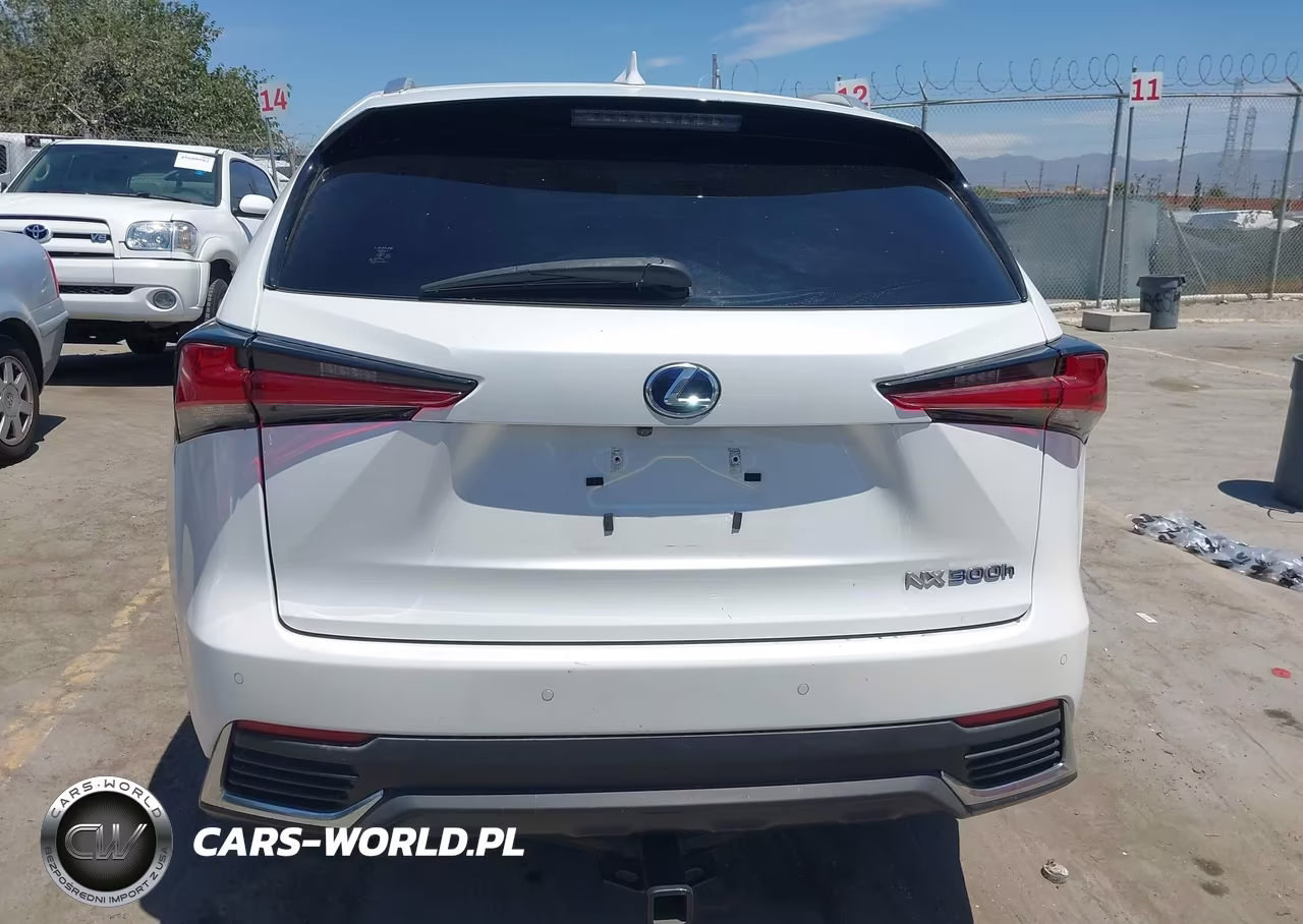 2019 Lexus Nx 300H VIN:JTJBJRBZ6K2116457 - 16