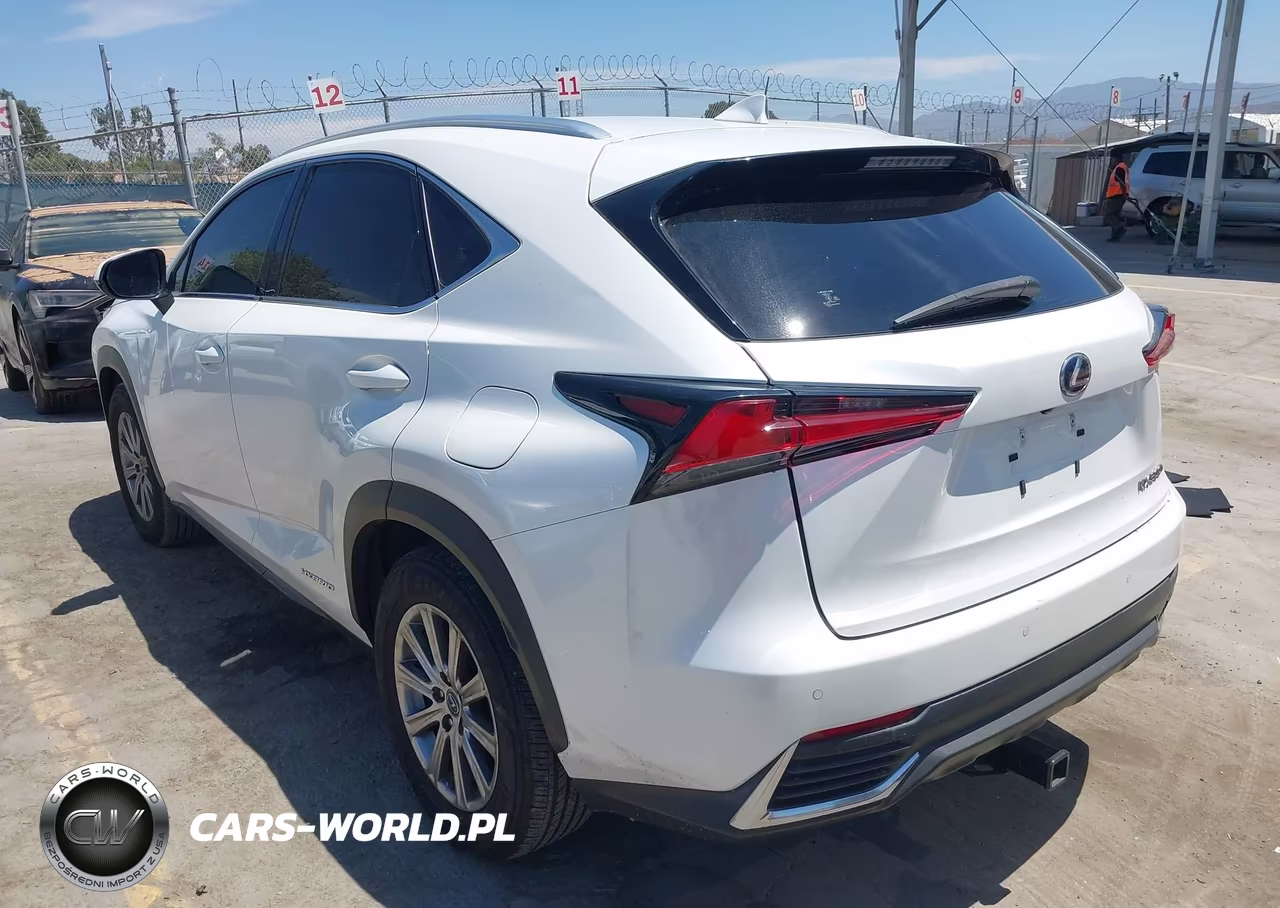 2019 Lexus Nx 300H VIN:JTJBJRBZ6K2116457 - 3