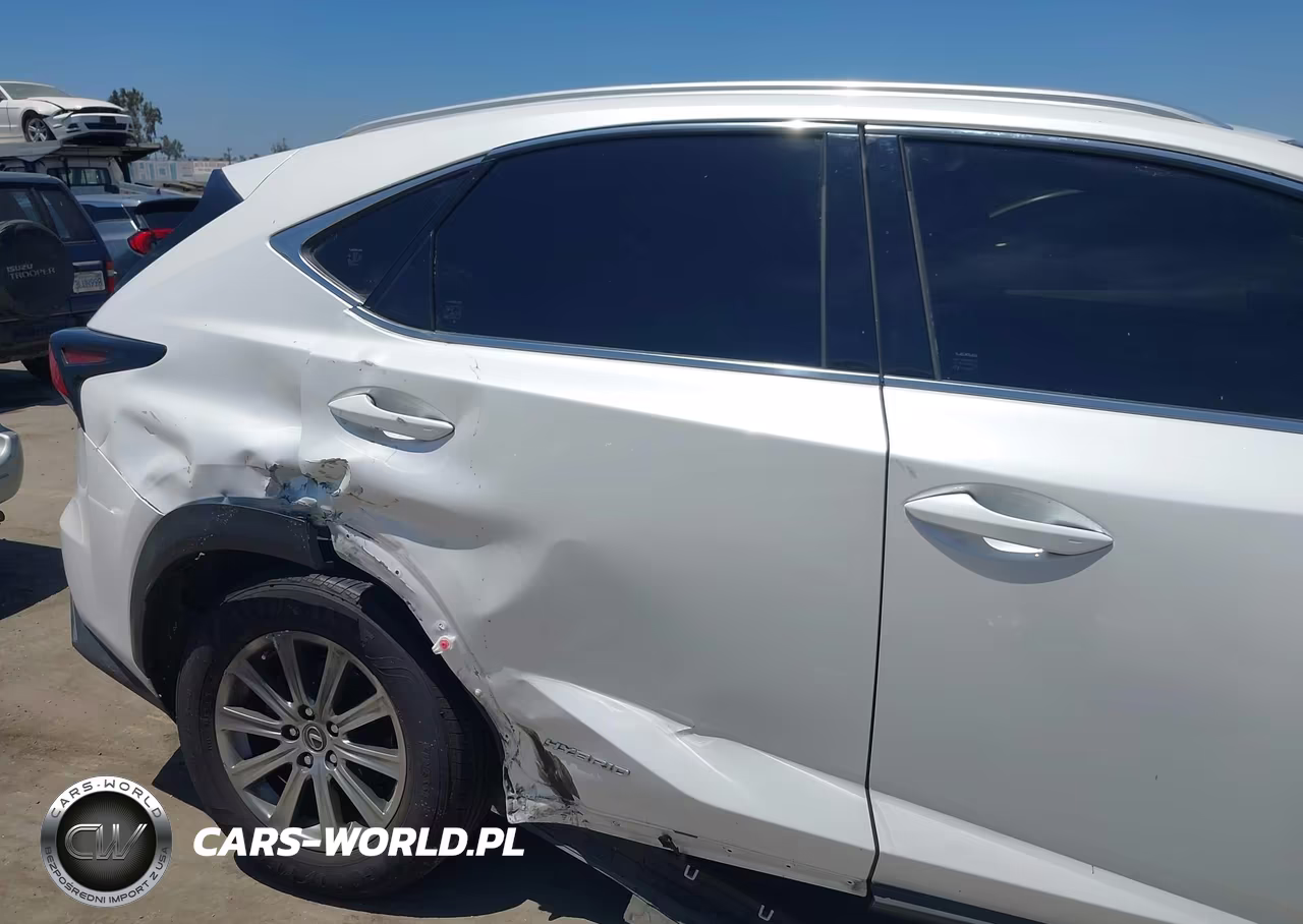 2019 Lexus Nx 300H VIN:JTJBJRBZ6K2116457 - 6