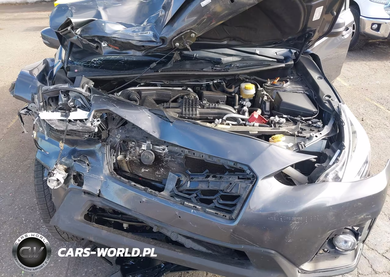2020 Subaru Crosstrek Limited VIN:JF2GTANC8LH239818 - 10
