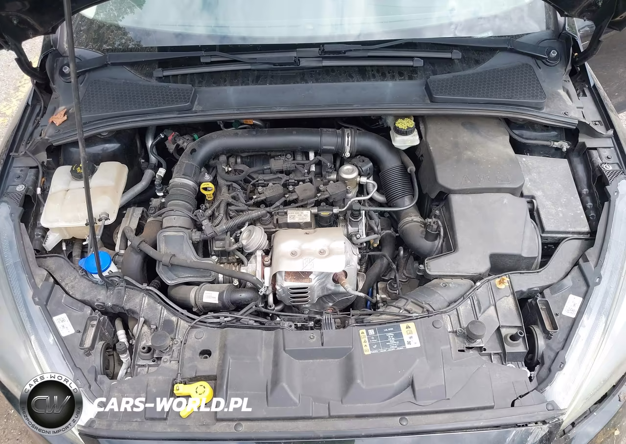2017 Ford Focus Se VIN:1FADP3FEXHL276459 - 10