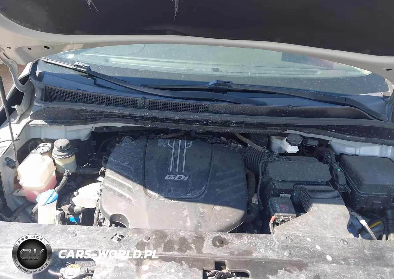 2016 Kia Sedona Lx VIN:KNDMB5C13G6090376 - 10