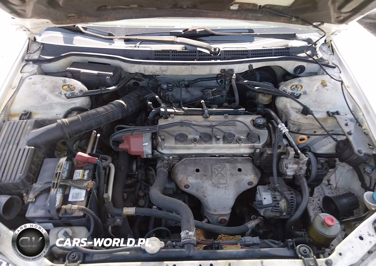 1999 Honda Accord Lx VIN:JHMCG5646XC007512 - 10