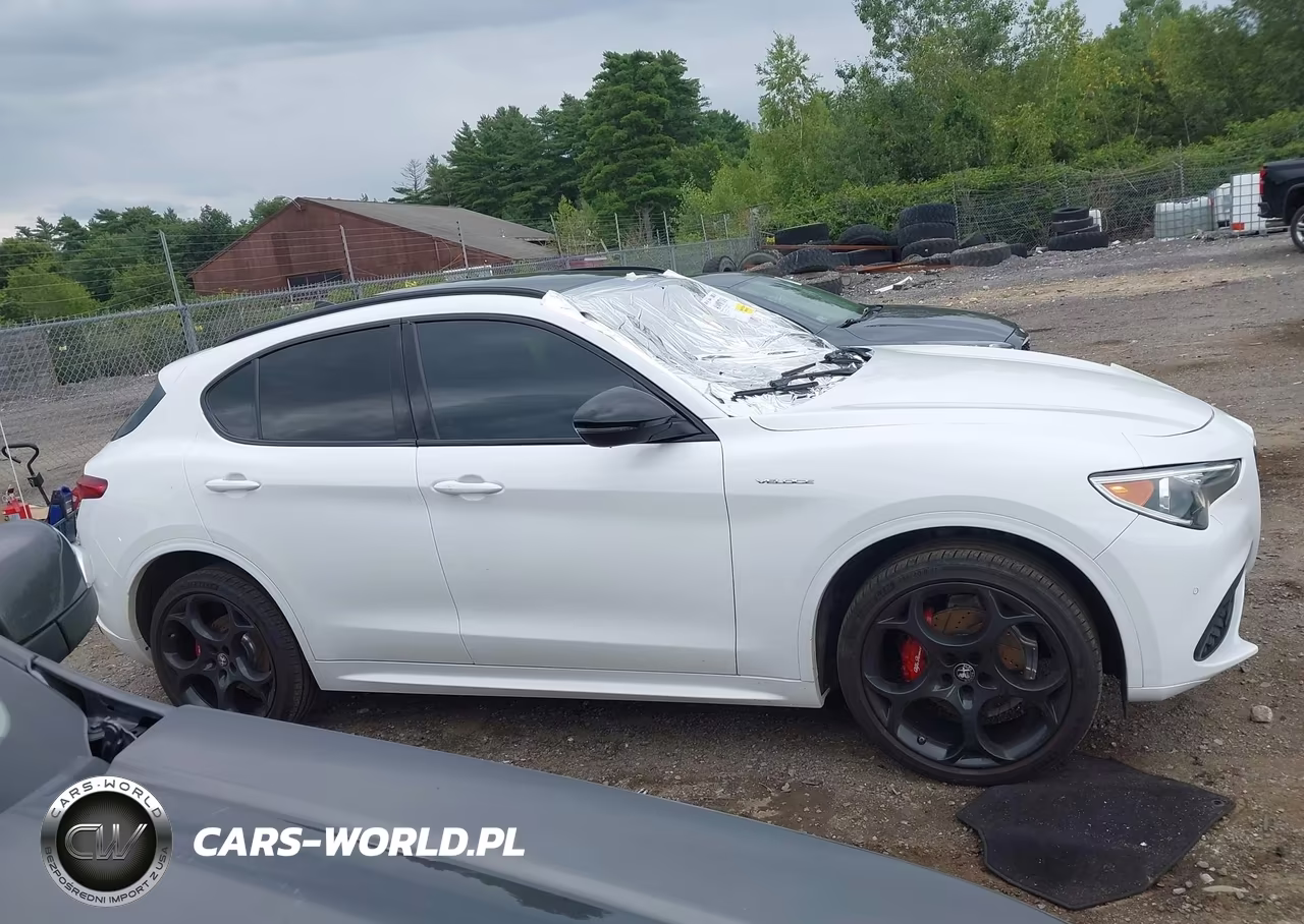 2023 Alfa Romeo Stelvio Veloce Awd VIN:ZASPAKBN9P7D64636 - 13