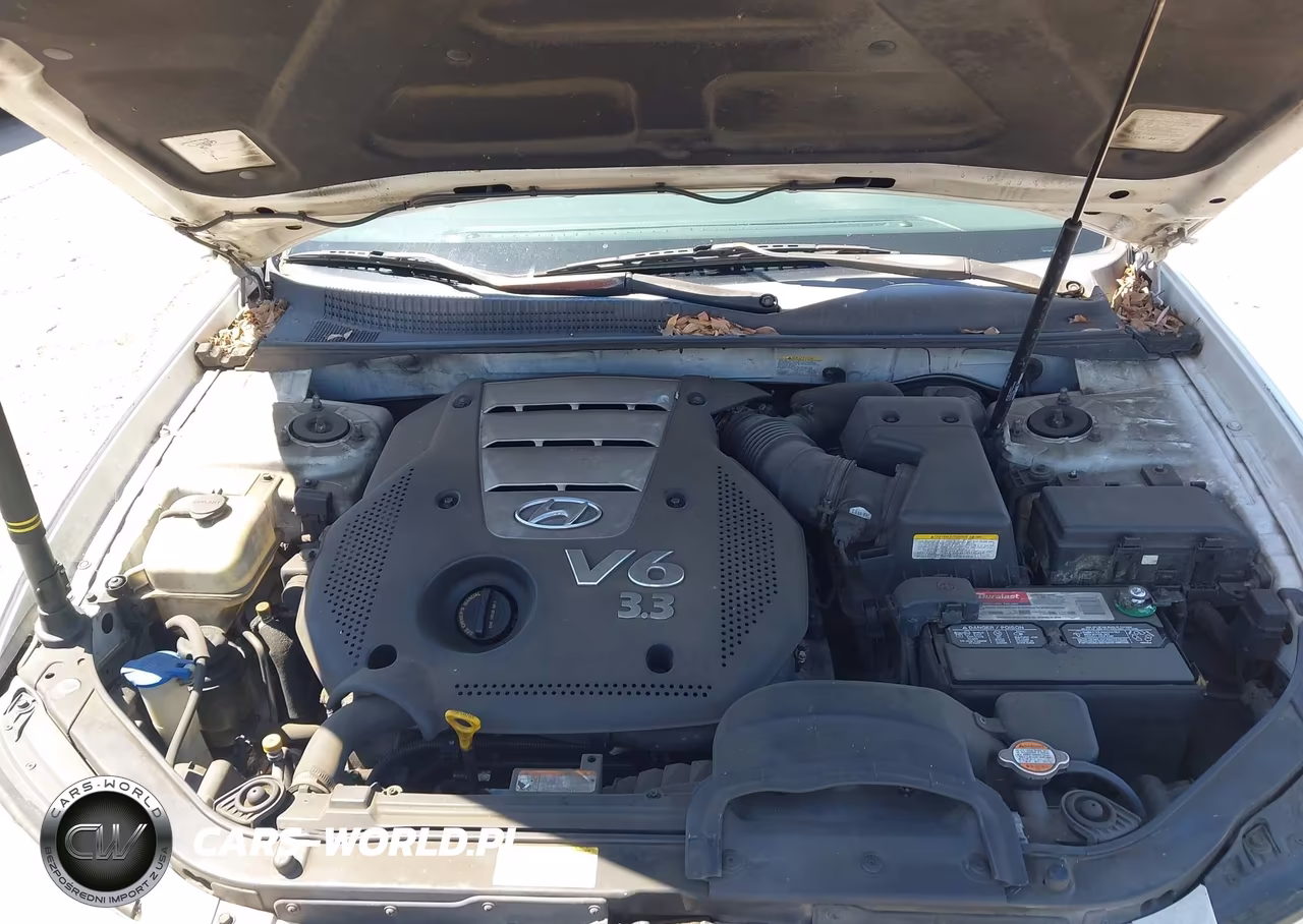 2006 Hyundai Sonata Gls V6-Lx V6 VIN:5NPEU46F16H113643 - 10