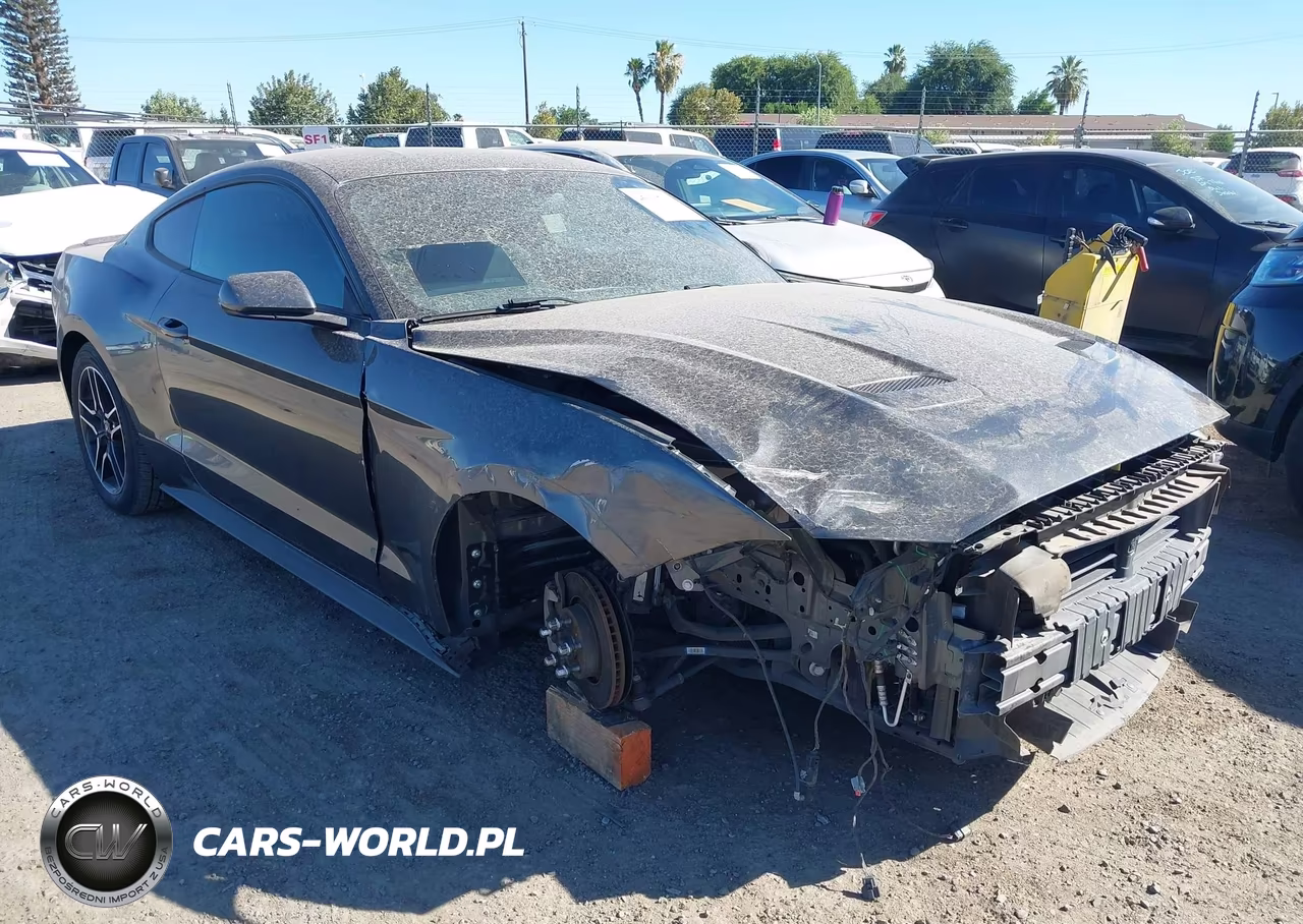 2019 Ford Mustang Ecoboost