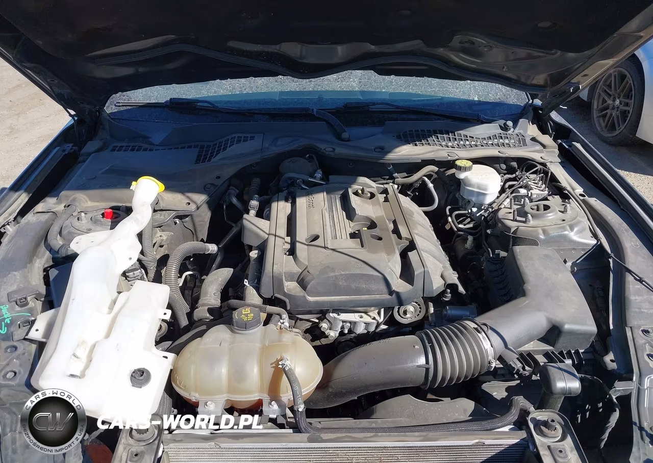 2019 Ford Mustang Ecoboost VIN:1FA6P8TH7K5194916 - 10