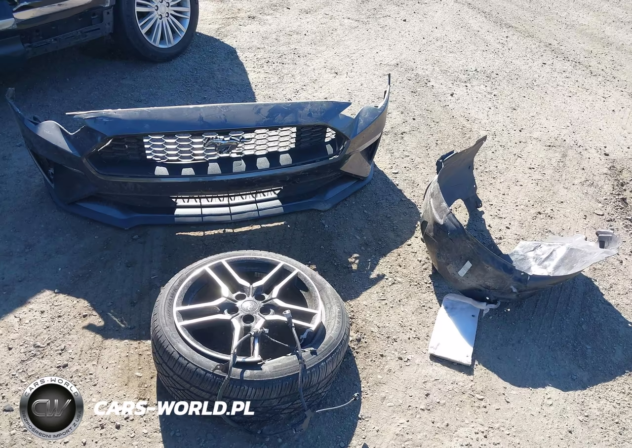 2019 Ford Mustang Ecoboost VIN:1FA6P8TH7K5194916 - 12