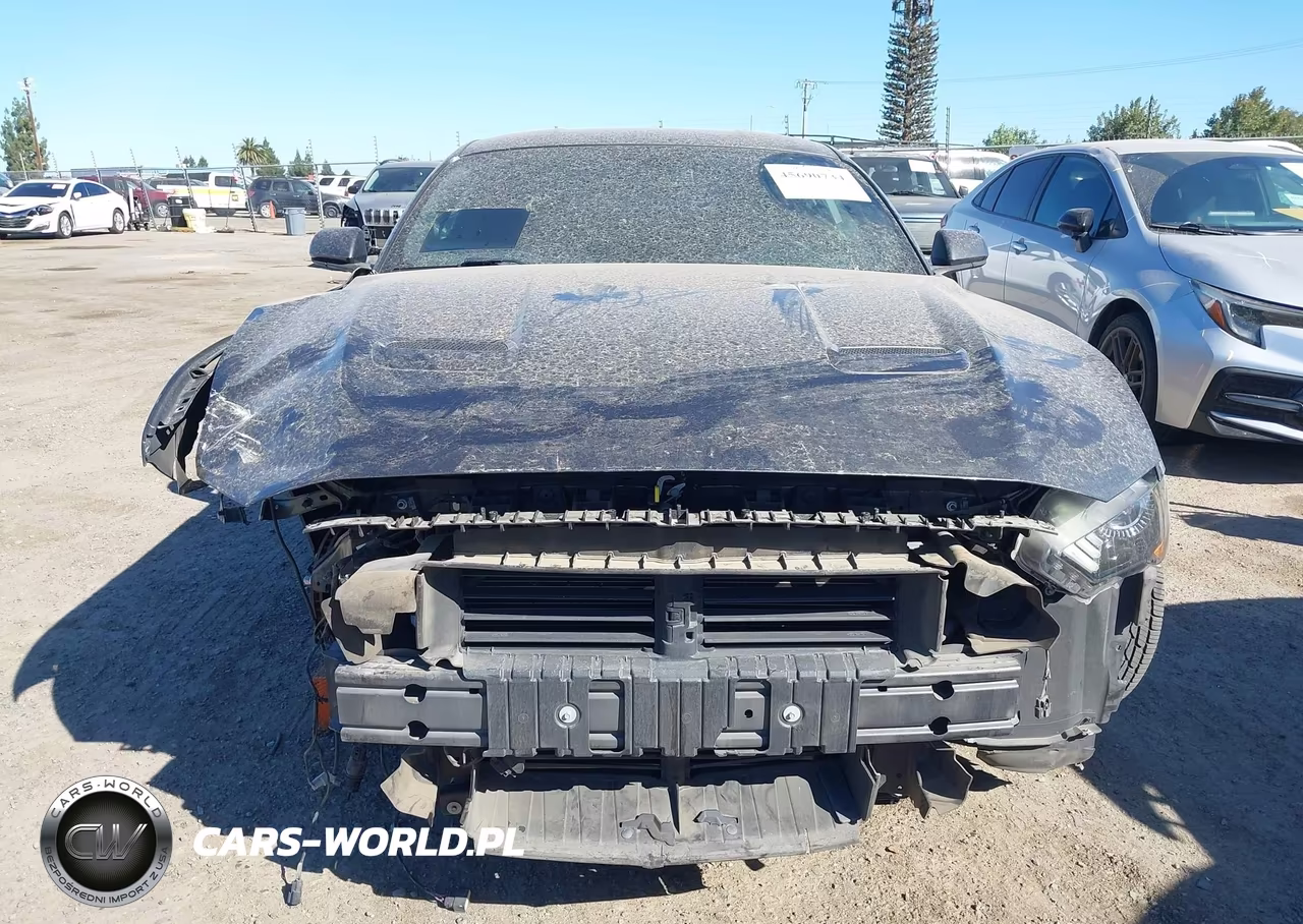 2019 Ford Mustang Ecoboost VIN:1FA6P8TH7K5194916 - 13