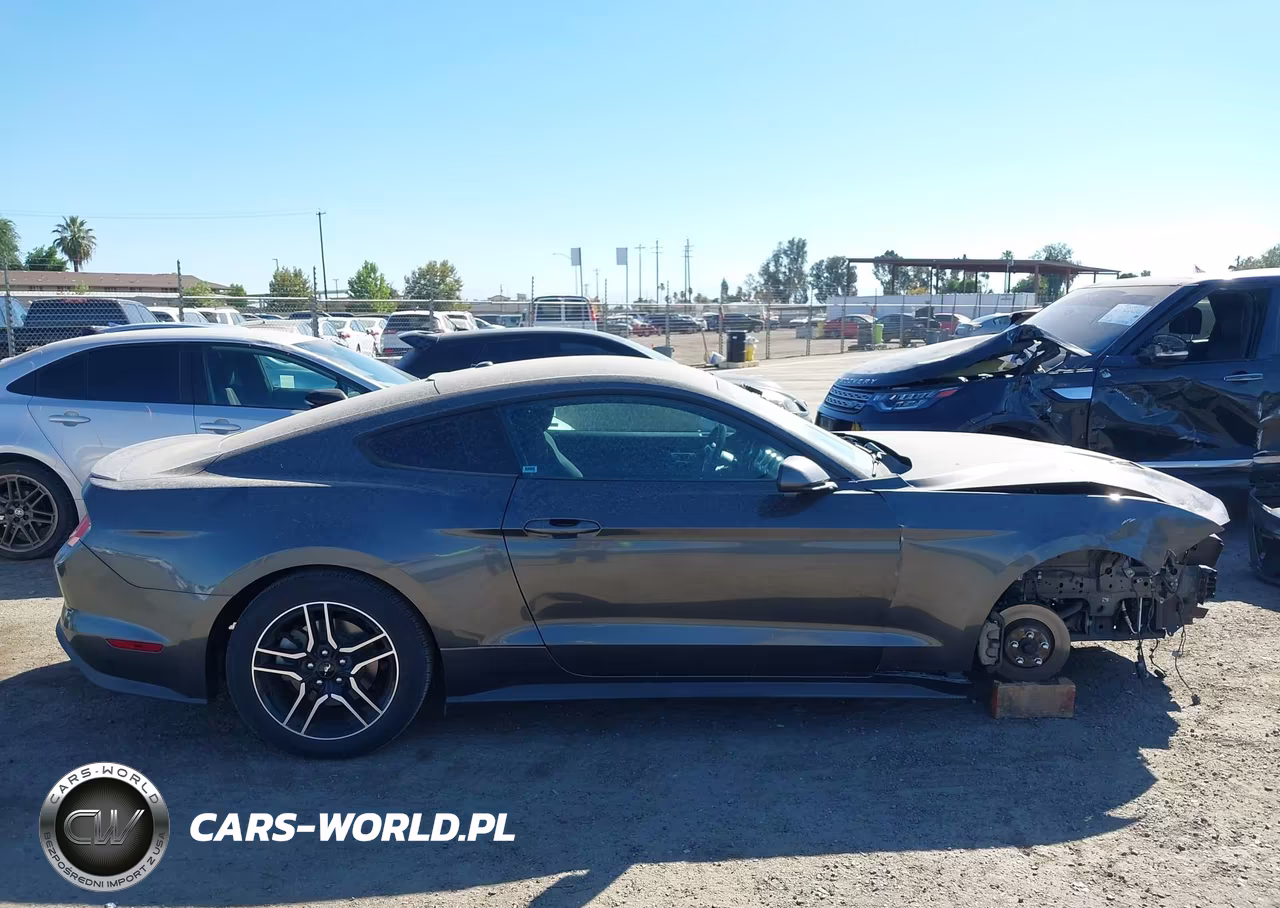 2019 Ford Mustang Ecoboost VIN:1FA6P8TH7K5194916 - 14
